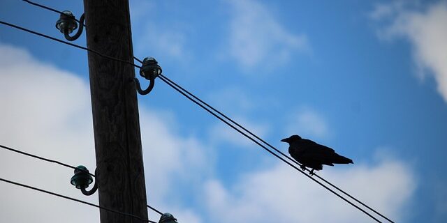 Undgå dyre reparationer: Tjekliste til aircondition service