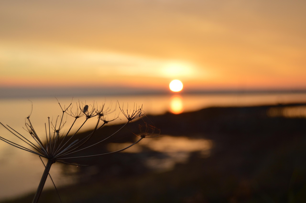 Find din perfekte halskæde: Guide til enhver stil